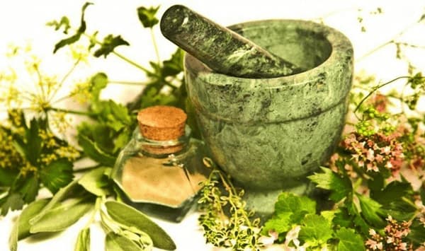 قیمت خرید گلنار فارسی برای آفت دهان + فروش ویژه